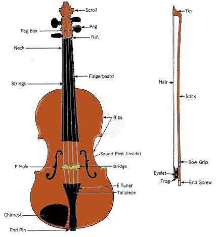 Diagram of a String Instrument